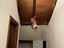Immagine 12