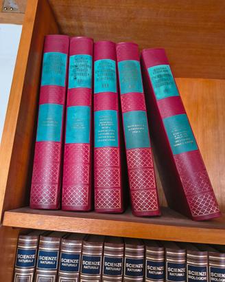Enciclopedia Generale Illustrata