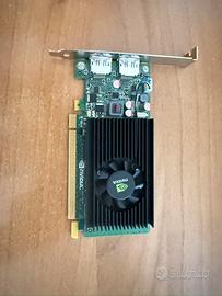 Nvidia Quadro NVS 310