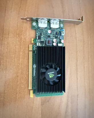 Nvidia Quadro NVS 310