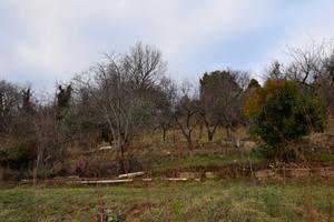 Rif.ZT38G_49| terreno agricolo montebelluna