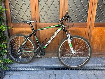 Bicicletta mountain bike
