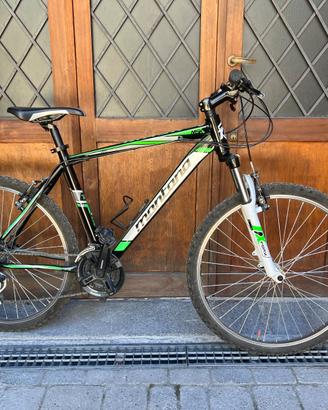 Bicicletta mountain bike