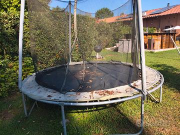 saltarello da giardino 