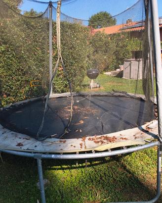 saltarello da giardino 