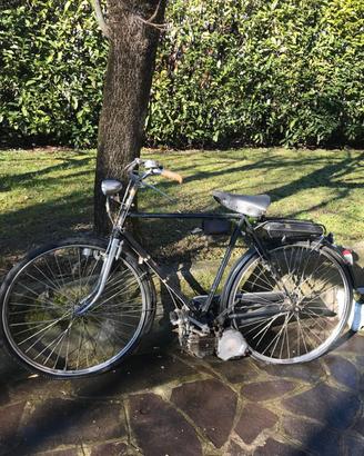 mosquito originale anni 50