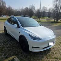 model y,garanzia,tv posteriore e volante joke