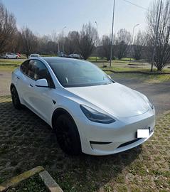 model y,garanzia,tv posteriore e volante joke