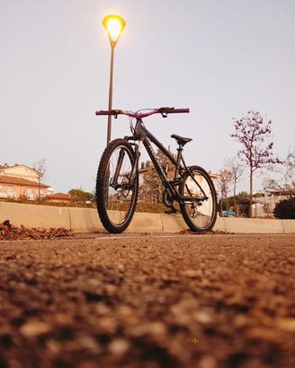 rockrider modificata TRATTABILE 