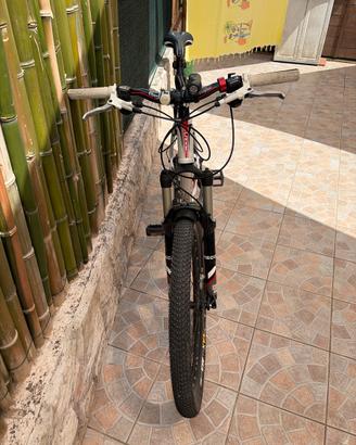 Mtb mountain bike Scott Scale