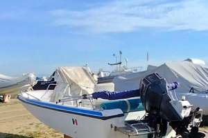 Barca a motore boston whaler 25/50cv