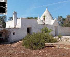 TRULLO CON LAMIA con TERRENO 3,5Ha - AGRO DI SAN