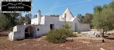 TRULLO CON LAMIA con TERRENO 3,5Ha - AGRO DI SAN