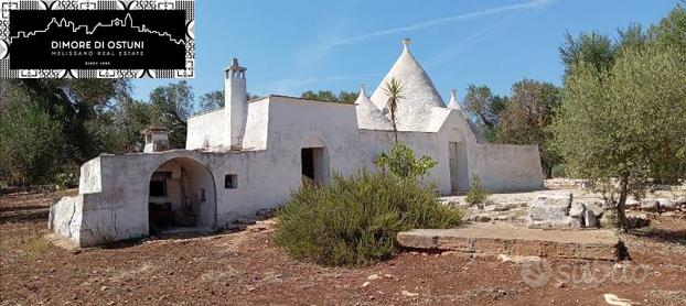 TRULLO CON LAMIA con TERRENO 3,5Ha - AGRO DI SAN