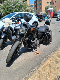 Harley davidson 883 iron 2014