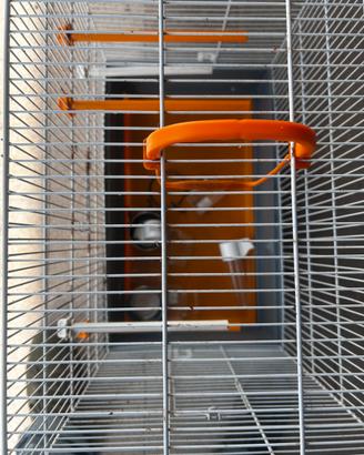 Gabbia per volatili