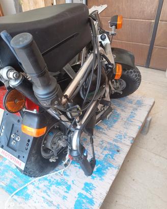 Di Blasi R7e inox ciclomotore