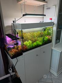 ACQUARIO