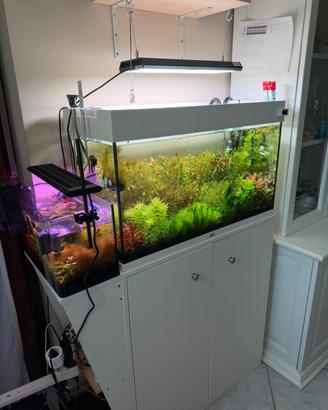 ACQUARIO