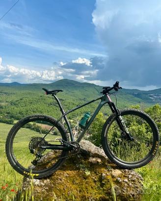 Scott Scale wc Carbon  L