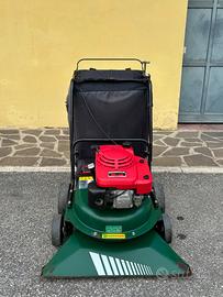 Aspirafoglie a motore