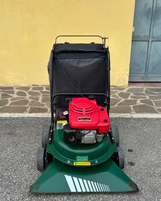 Aspirafoglie a motore