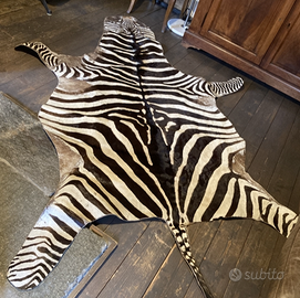 pelle di vera zebra