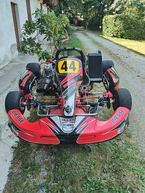 Kart 125 cc telaio BS motore Pavesi