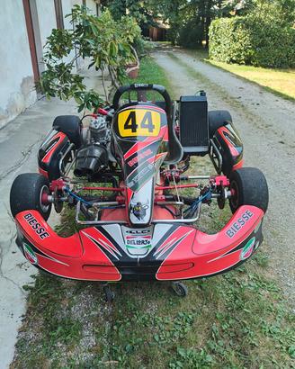 Kart 125 cc telaio BS motore Pavesi
