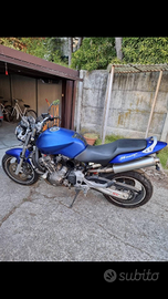 Honda Hornet 900 (919) ultima versione