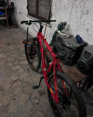 Bici Mountan bike