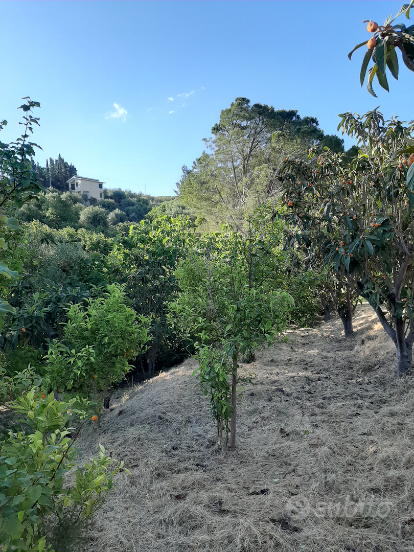 Terreno Agricolo - Vista 3