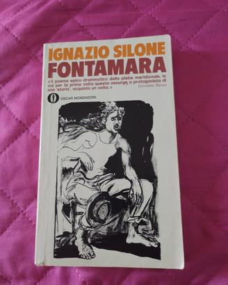 Libro Fontamara