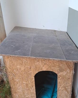 cuccia per cani 