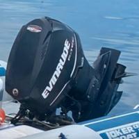 Evinrude Etec 90 cavalli