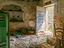 Immagine 23