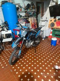 pit pike 140 cc