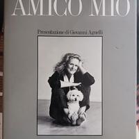 4 libri di fotografia