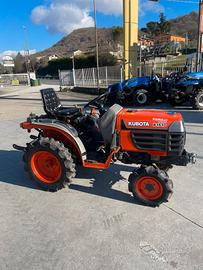 Trattorino Kubota B1610
