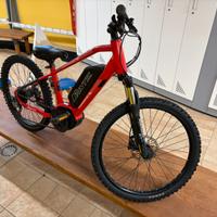 Bicicletta elettrica