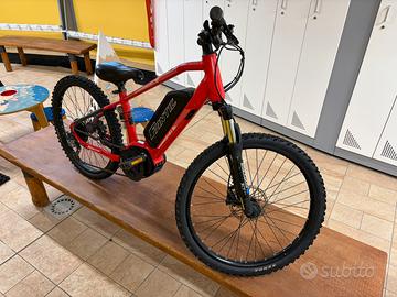 Bicicletta elettrica