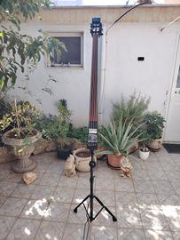 contrabbasso elettrico dean