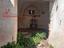 Immagine 17