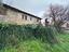 Immagine 10