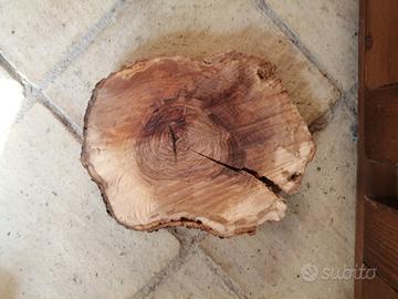 fetta di legno d'ulivo 