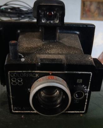 Polaroid