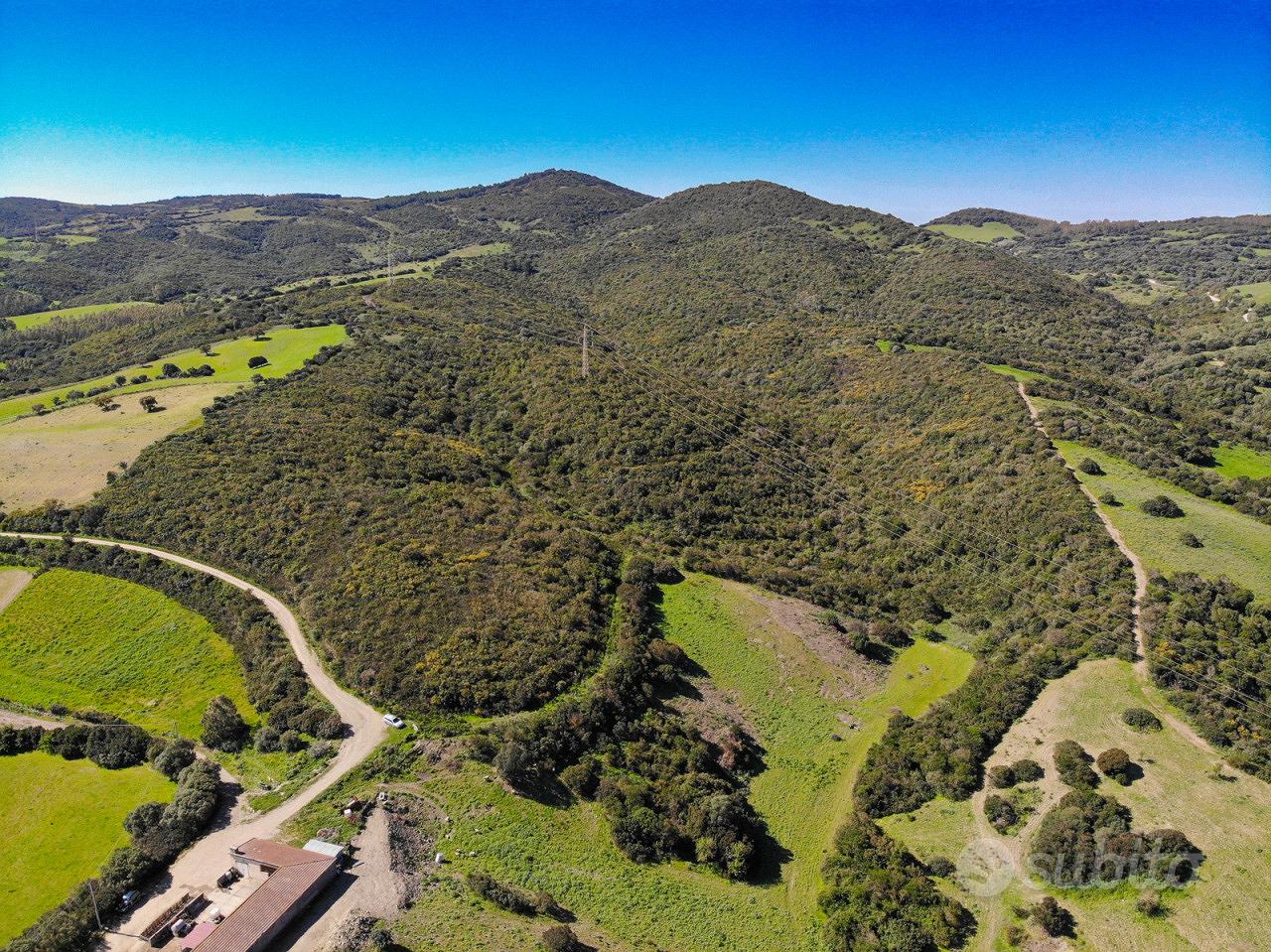 Pascolo a Teulada - Vista 5