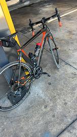 Bdc carbonio