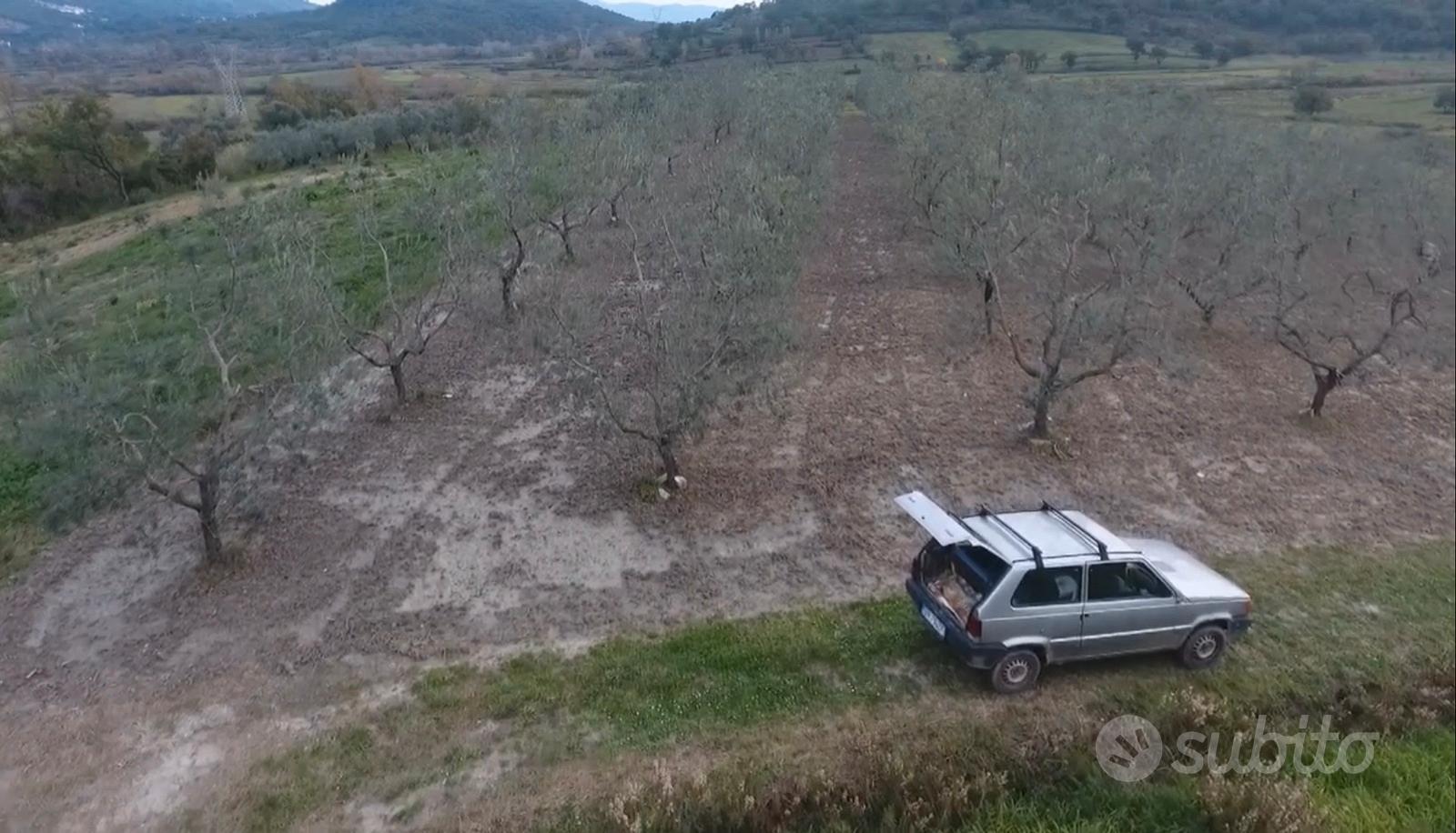 Uliveto - Vista 2