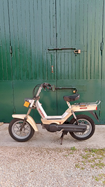 Gilera Piaggio ECO 1981